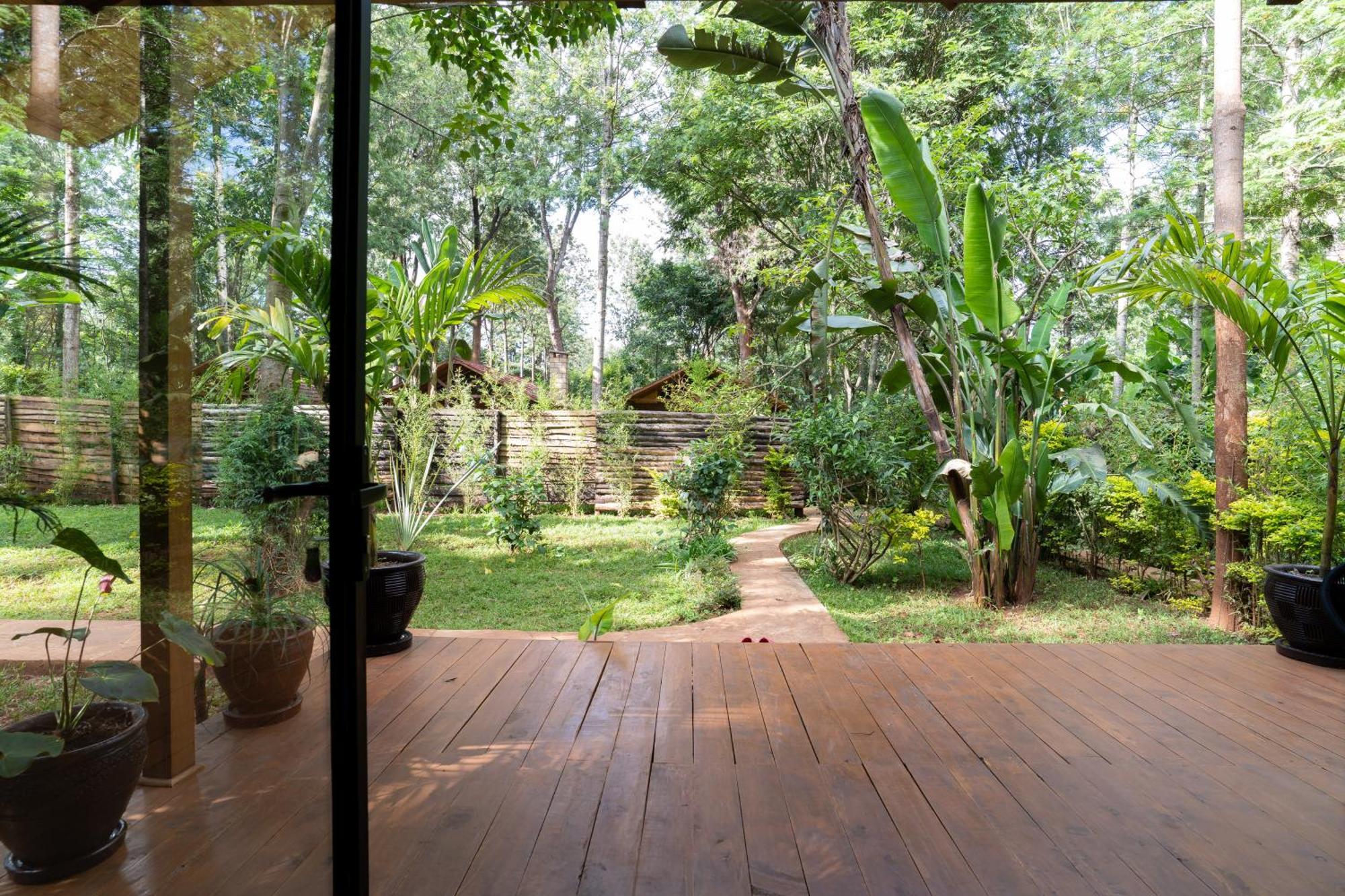 Апартаменты The Jungle Oasis With Heated Pool Найроби Экстерьер фото